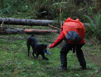 DSC_2583 – King County Search Dogs