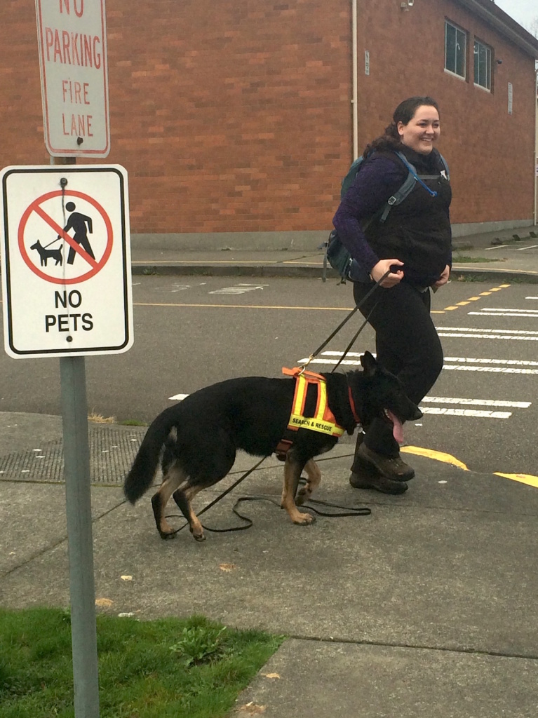 Courtney and Jack No Pets King County Search Dogs